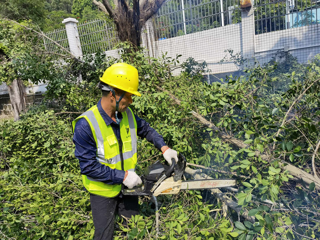 赛博体育·(中国)官方网站园林绿化公司工人的日常养护修剪工作